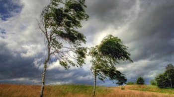 На Львівщині через стихію без світла 103 населені пункти, вітер валить дерева і зриває дахи — ОВА