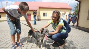 Біля Львова будують новий притулок для тварин