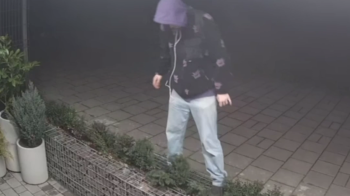 Камери зафіксували вандала, який понищив клумбу біля Університету Unbroken: відео