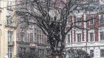 На завтра у Львові оголосили штормове попередження