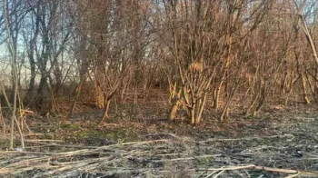 емлю під промисловість біля Львова купили за 5,4 млн грн