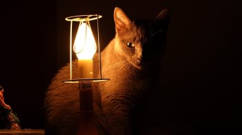 Графіки відключення світла Львівобленерго: що означають черги і як зрозуміти свій графік