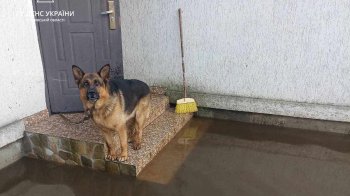 У Дрогобичі продовжують викачувати воду після негоди (фото)