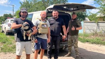 З прифронтових громад до “Домівки врятованих тварин” привезли тварин, які залишилися без нагляду