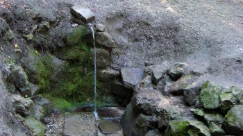 Джерело на Погулянці