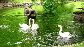 Де у Львові облаштують нові зелені зони