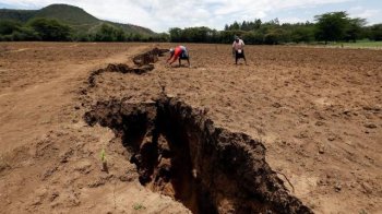 В Африці може утворитися новий океан: коли та як це може статись