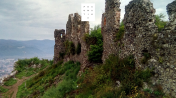 Ілюстрація: Chameleon Age