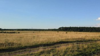 Ексголова сільради біля Львова уникла покарання за незаконне оформлення землі