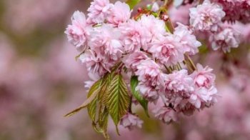 Тепло та невеликий дощ: погода на Львівщині 3 травня