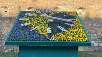 В центрі Львова висадили синьо-жовті віоли на квітковому годиннику