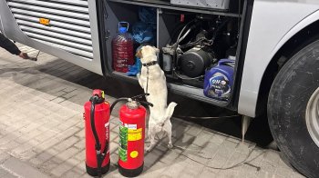 Контрабанда