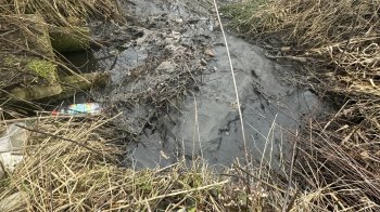 Держекоінспекція встановлює причетних до забруднення нечистотами каналу в Брюховичах