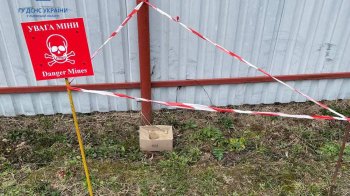 Сортували картоплю і знайшли гранату: у селі Самбірського району виявили небезпечну знахідку