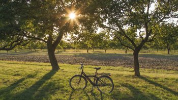 Куди піти на Львівщині 13 та 14 травня: афіша подій