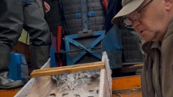 Понад 35 тисяч мальків форелі випустили у річки Львівщини