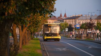 У Львові з 15 червня скоротять кількість автобусів на маршрутах
