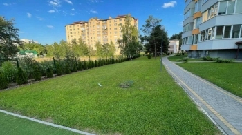 Дві ділянки під забудову продала Новояворівська міськрада на аукціоні