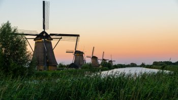 Нідерланди виділяють 100 млн євро Україні на підтримку фермерів 