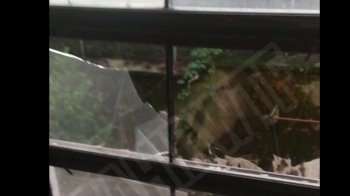 Від ударної хвилі все повилітало: у мережі показали наслідки «прильоту» у Львові (відео)