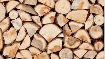 Жителів Львівщини попереджають про шахраїв, які "продають" дрова