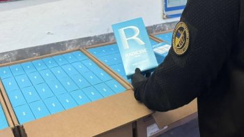 У Шегинях митники виявили незадекларованих філерів на близько 800 тис. грн