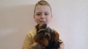 Другокласник врятував себе і собаку під час пожежі в багатоповерхівці