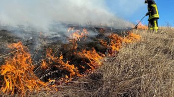 Синоптики попередили про високий рівень пожежної небезпеки на Львівщині 22 травня