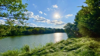 Стрийській громаді повернули земельну ділянку площею понад 97 га