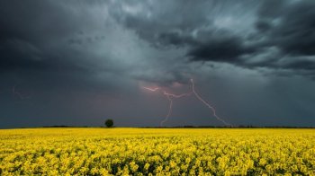 Погіршення погоди на Львівщині: прогноз на 11 червня