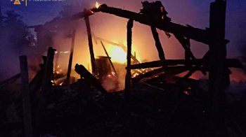 У Львівському районі під час пожежі загинули 120 кроликів