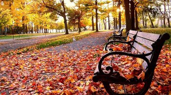 На Львівщині 29 жовтня синоптики прогнозують сильний вітер та дощ