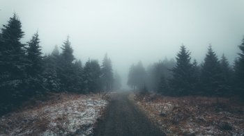 Водіїв попереджають про погіршення погоди у західних регіонах