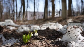 Синоптики прогнозують до 8 градусів тепла на Львівщині у понеділок