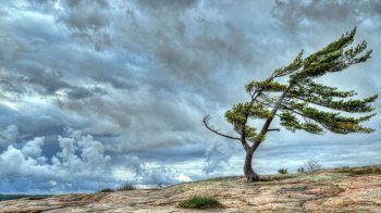 Мешканців Львівщини попереджають про небезпечні метеорологічні явища