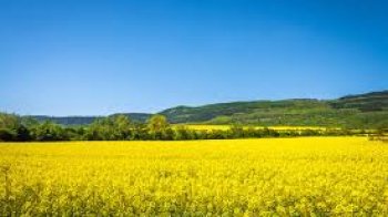 Тепло та без опадів: погода на Львівщині 23 травня