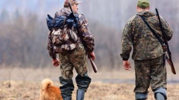 У Дрогобицькій громаді розпочали відстріл хижих тварин