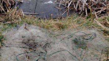 Екоінспектори оштрафували рибалок на Добротвірському водосховищі