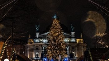 Львівська ялинка увійшла в десятку найкращих в Україні