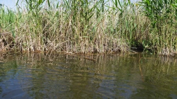 Поліція встановлює обставини загибелі знайденого в водоймі чоловіка на Львівщині