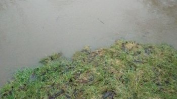 річка Верещиця