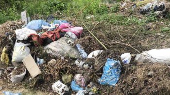 Гірше свиней: на Львівщині екоінспектори виявили сміттєзвалища, які залишили люди