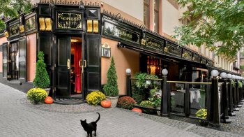 Львів’янина оштрафували за перебування в кафе з голим торсом