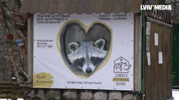 «Домівка врятованих тварин» у Львові просить допомоги, щоб прогодувати тварин: як долучитися