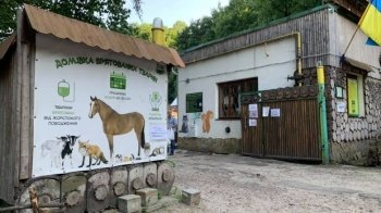 У Львові кличуть на толоку у Домівку врятованих тварин