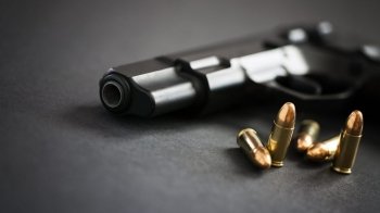 Наймасовіше опитування дії завершилося: близько 60% проголосували за вільне володіння зброєю