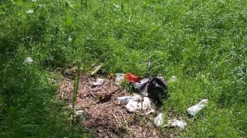 У Львові скаржаться на постійне сміття в парку «Горіховий гай»