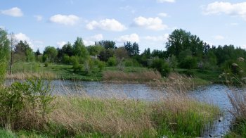 Львівські депутати підтримали створення двох нових природоохоронних зон