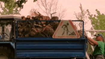 У Маріуполі окупанти планують обігрівати місто зрубаними у парках деревами