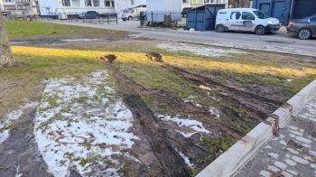 Має за це заплатити: львів’ян обурила поведінка водійки, яка знищила газон на вулиці Володимира Великого